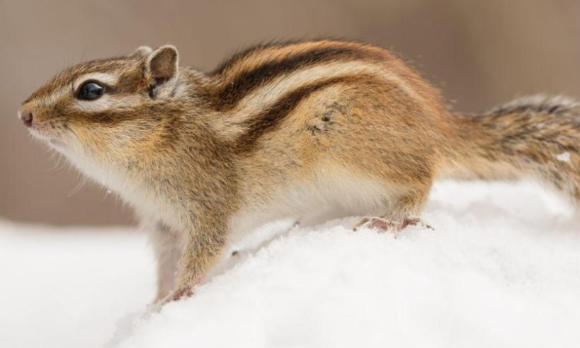 四川國棟建設股份有限公司輪播圖4