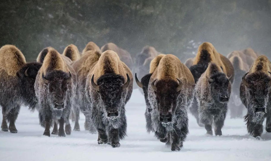 四川國(guó)棟建設(shè)股份有限公司輪播圖2